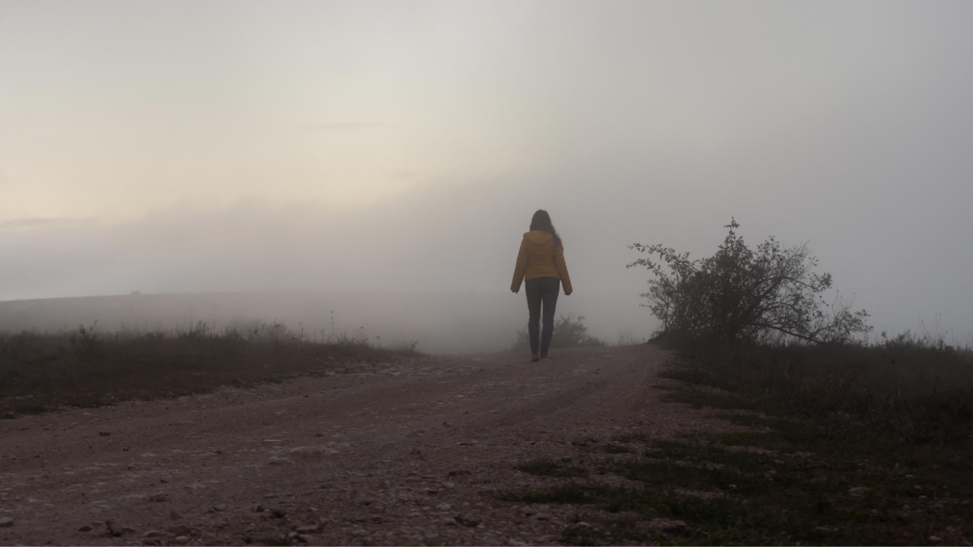 Raus aus der Angst: Nebel