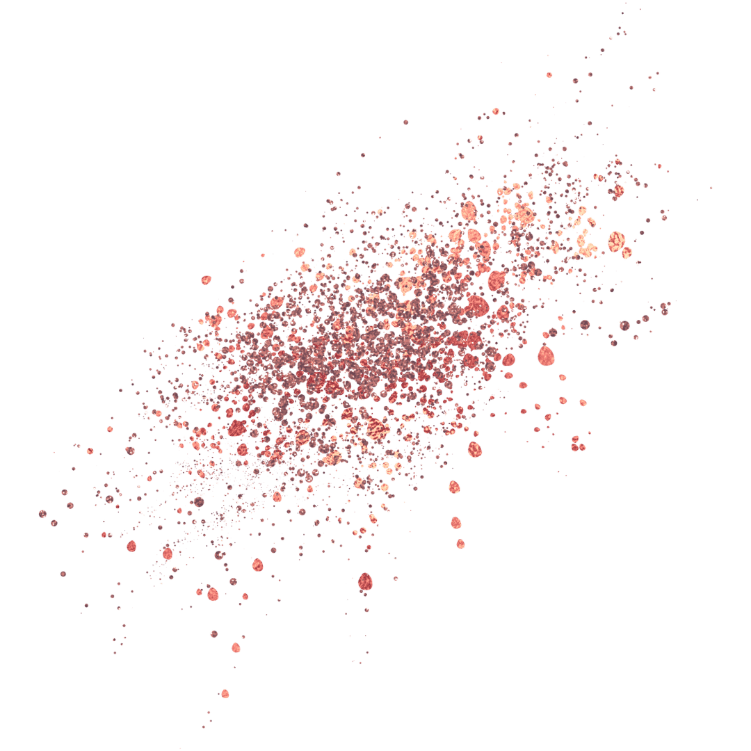 Sparkle Rose 2