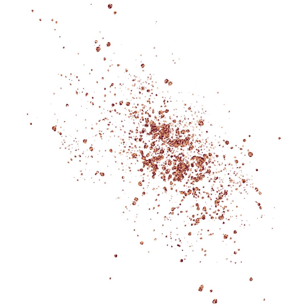 Sparkle Rose 5