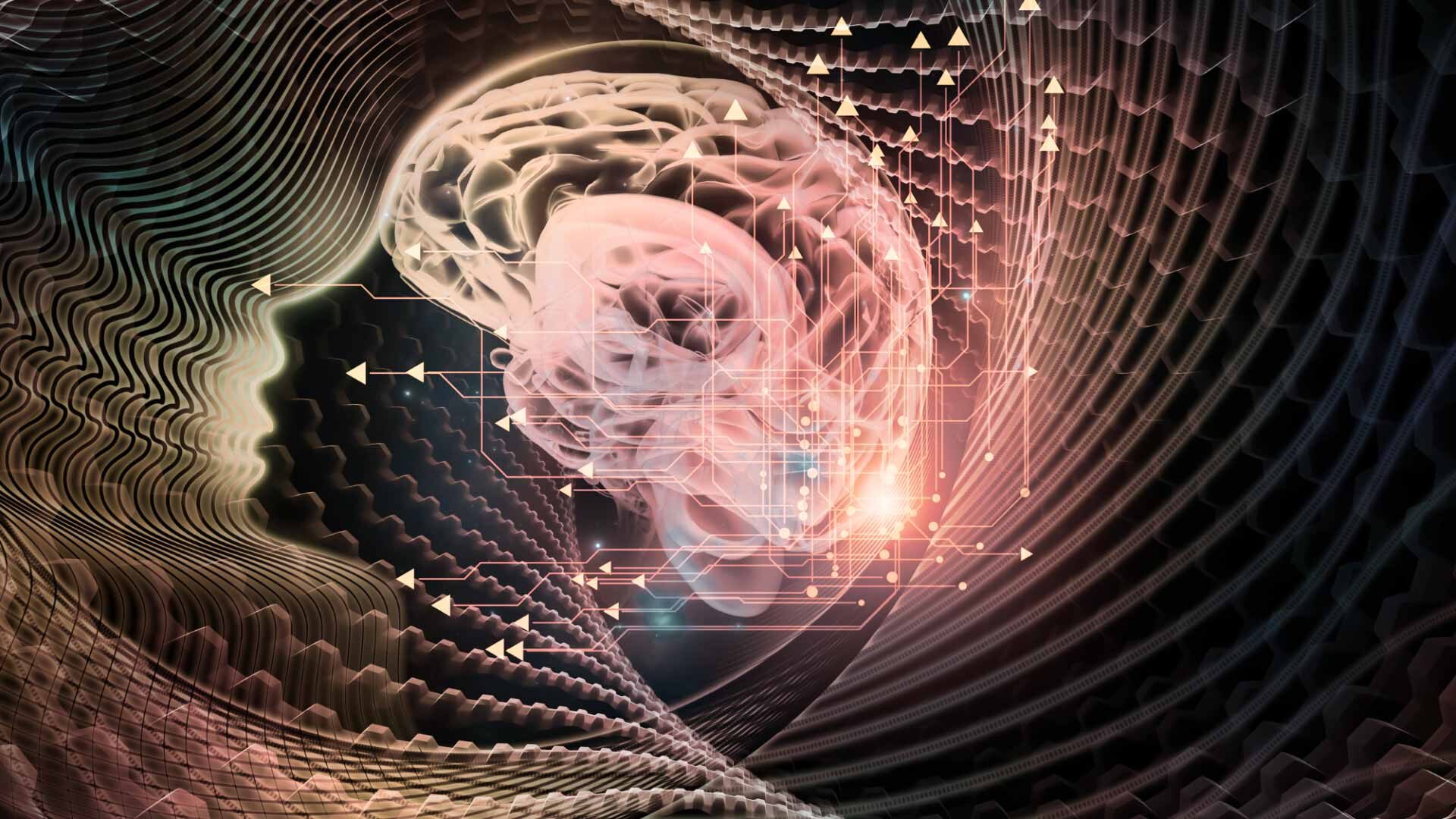 Epigenetik Gehirn