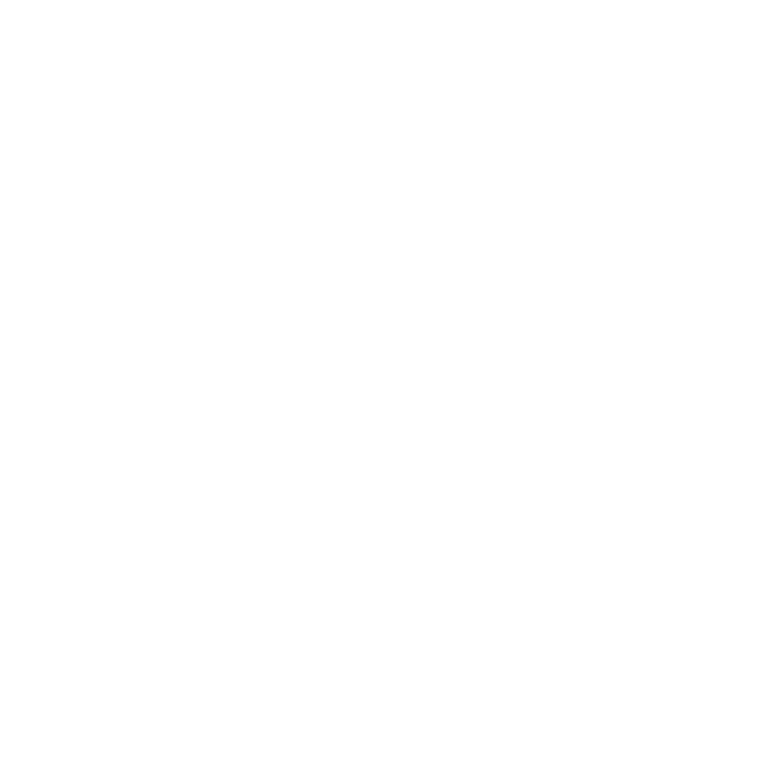 Icon Coaching