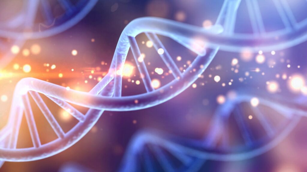 Was ist Epigenetik? Was ist Epigenetik.