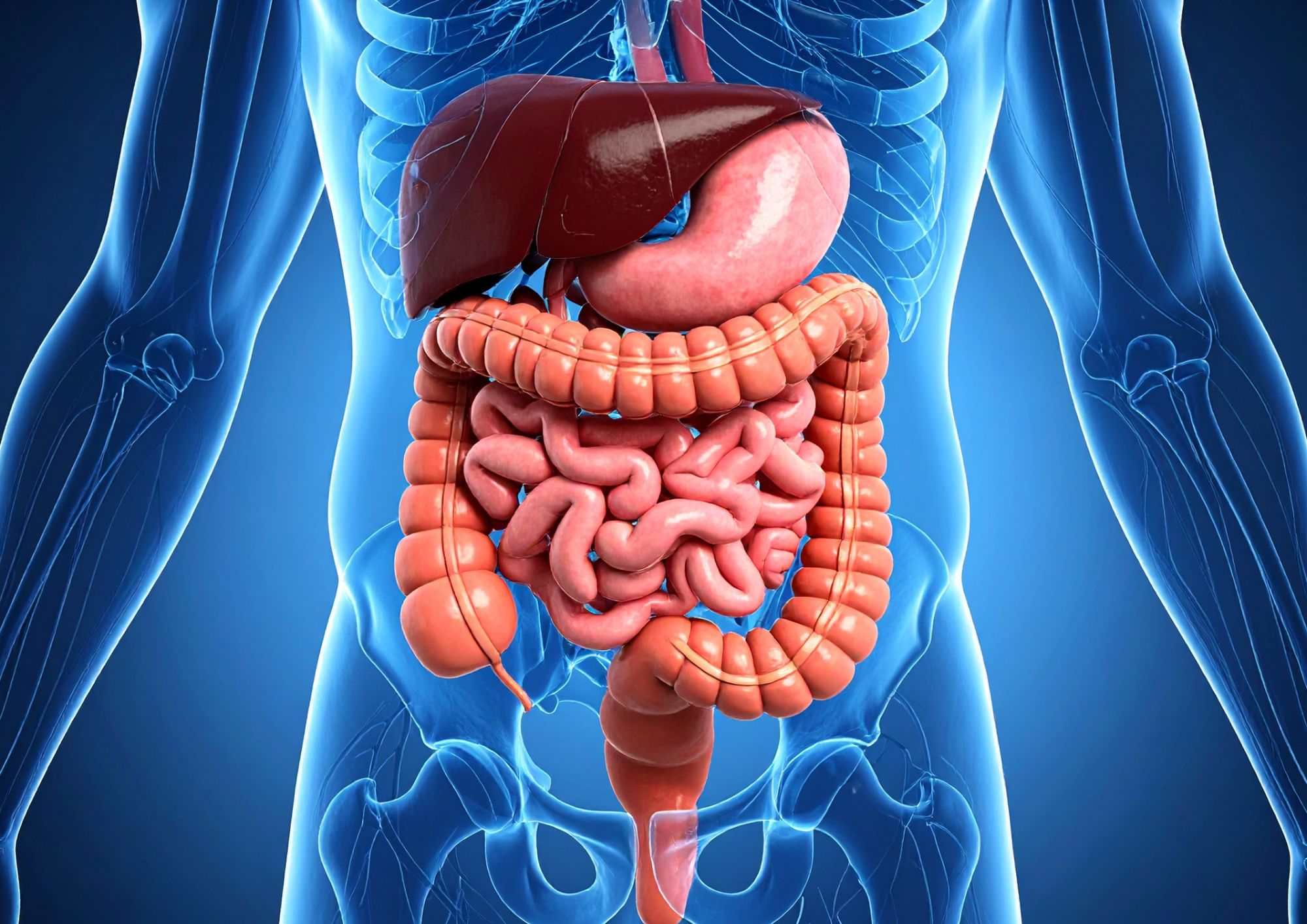 Zusatzstoffe Darmprobleme