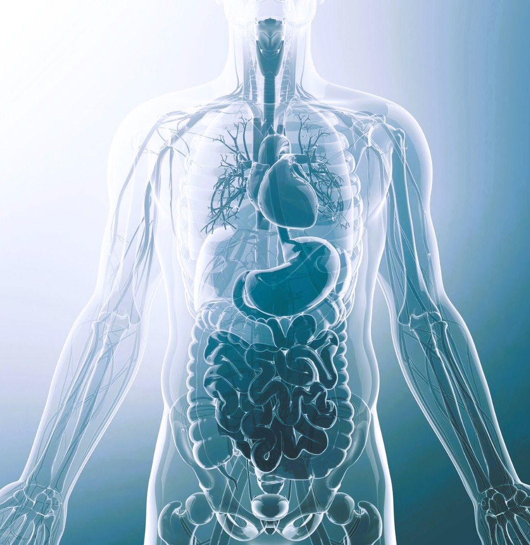Oxidativer Stress: Ursachen, Symptome & was du für deine Zellen tun kannst Human Body