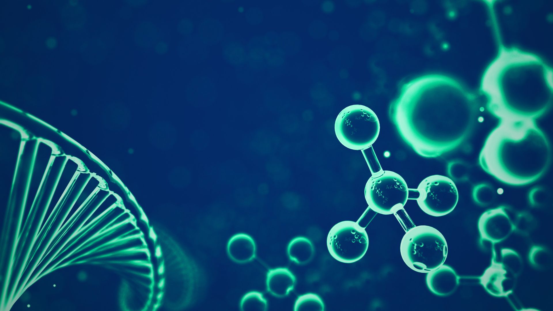 Oxidativer Stress schädigt deine Zellen
